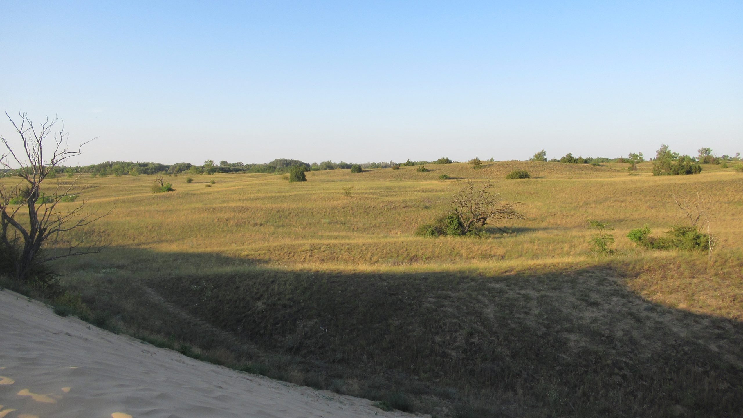 Kiskunság, inzáziós növényfajok, élőhely helyreállítás, invasive plant species