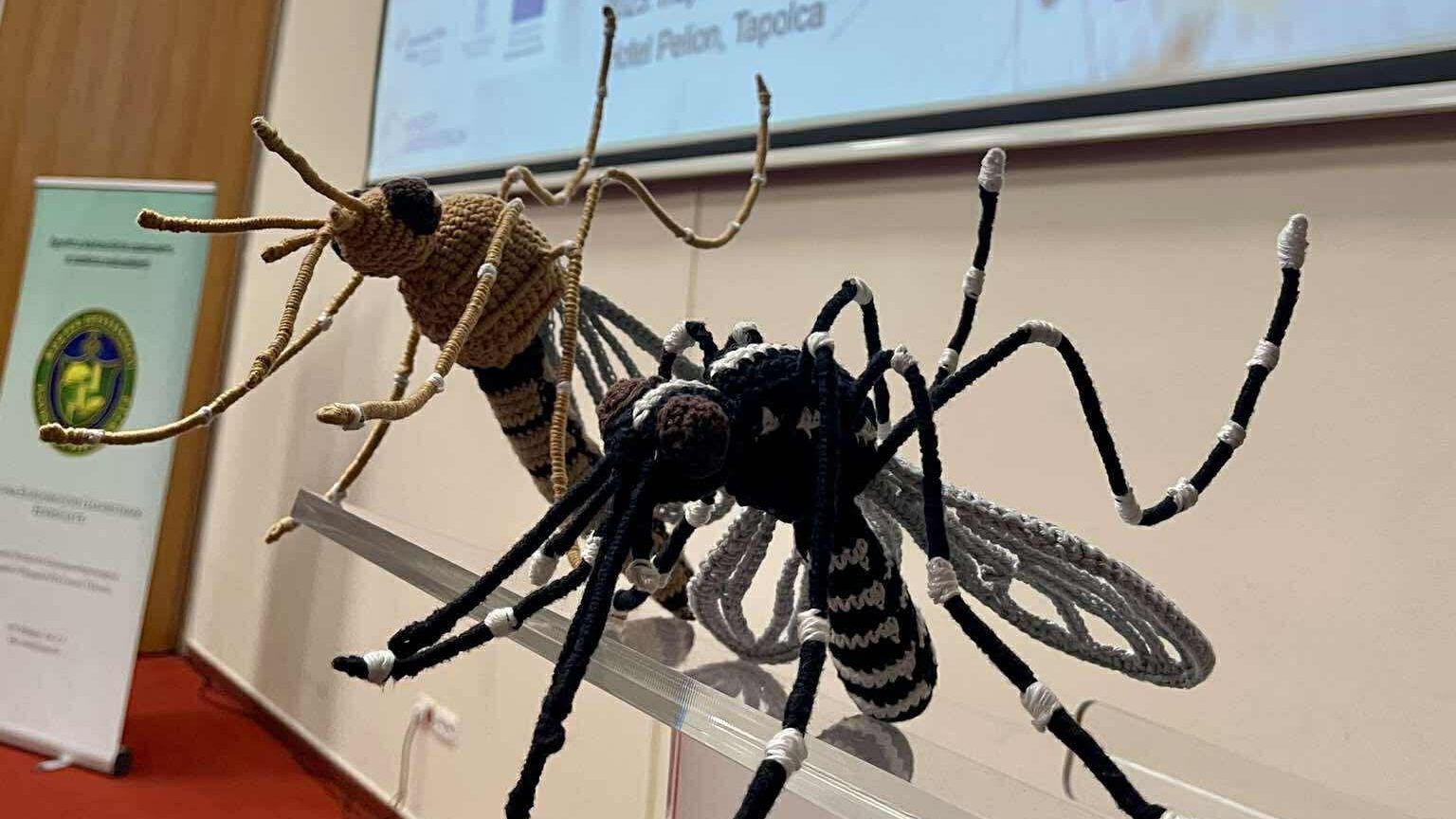 mosquito monitor - szúnyogmonitor - gázmester konferencia - pest control conference - Hungary - kártevőirtás - kártevők